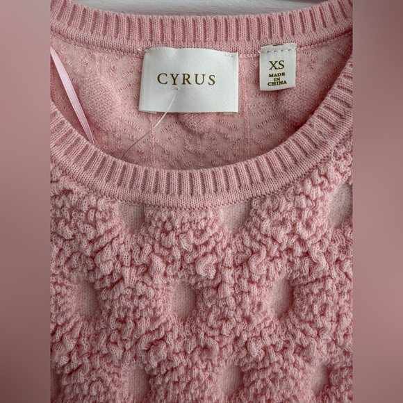 NWT. Cyrus Blush Pink Textured Knit Top - Picture 5 of 9
